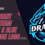 Valorant Pro Team with a Blue Dragon Logo: Everything You Need to Know